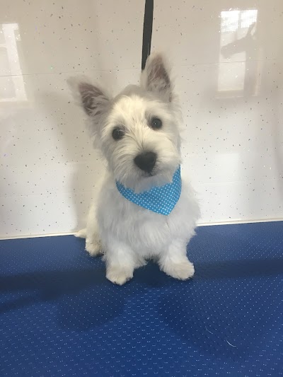Grooming Van Image