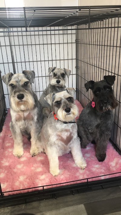 Grooming Van Image
