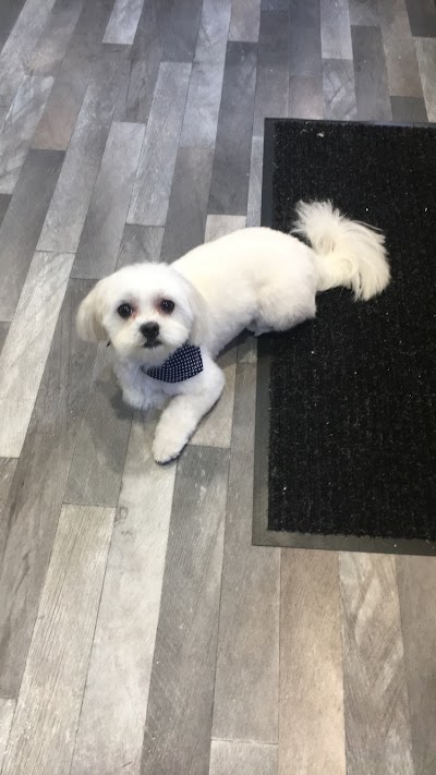 Grooming Van Image