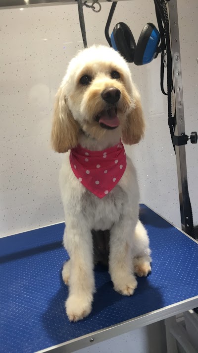 Grooming Van Image