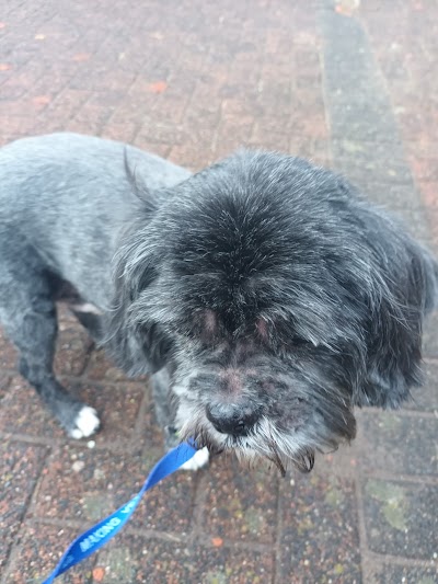 Grooming Van Image