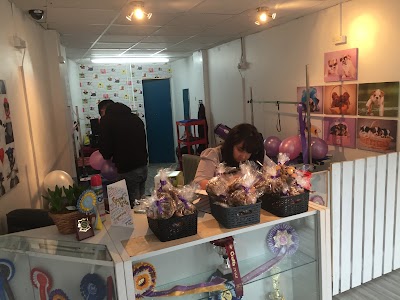 Grooming Van Image