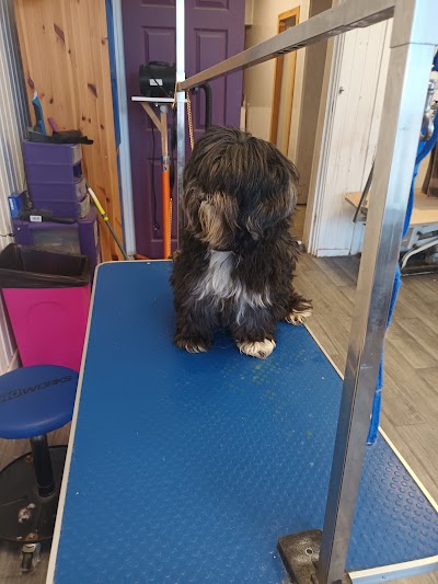Grooming Van Image