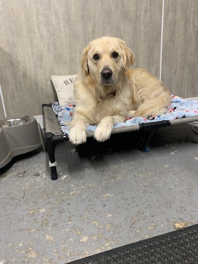 Grooming Van Image