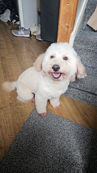 Grooming Van Image