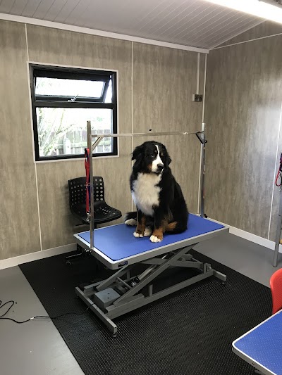 Grooming Van Image
