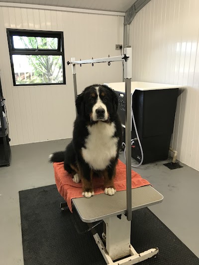 Grooming Van Image