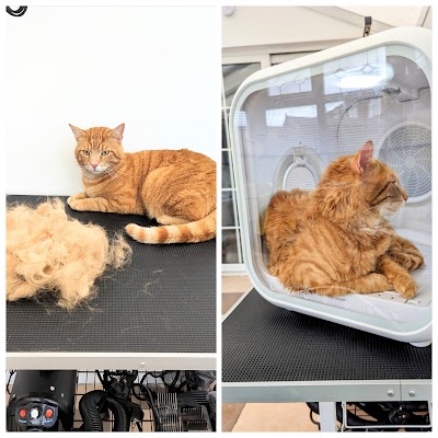 Grooming Van Image