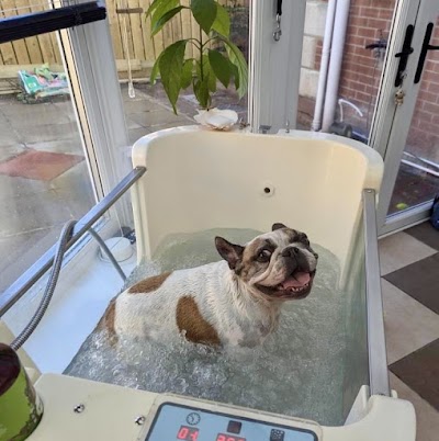 Grooming Van Image