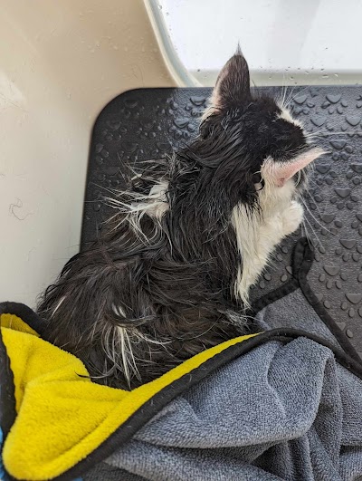 Grooming Van Image