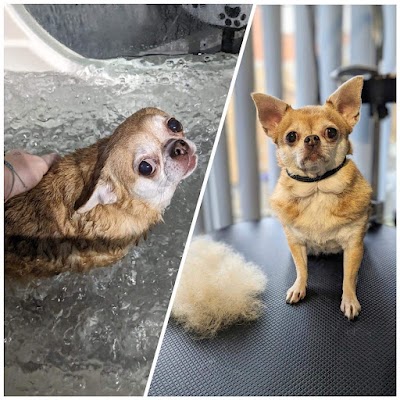 Grooming Van Image