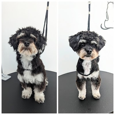 Cammy's Grooming & Spa
