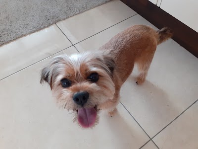 Grooming Van Image