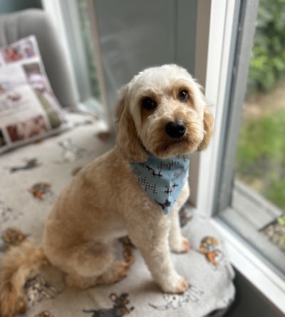 Grooming Van Image