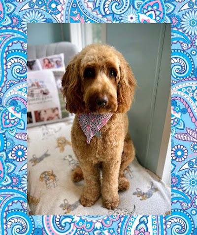 Grooming Van Image