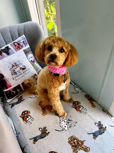 Grooming Van Image