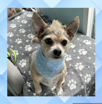 Grooming Van Image