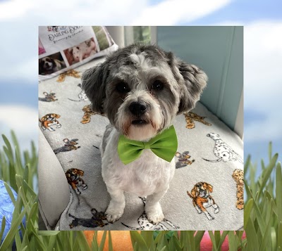 Grooming Van Image