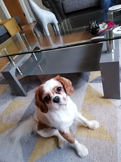 Grooming Van Image