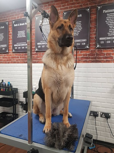 Grooming Van Image