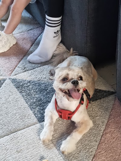 Grooming Van Image