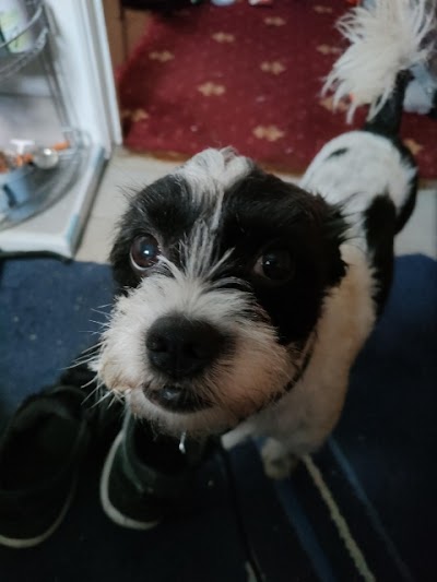Grooming Van Image