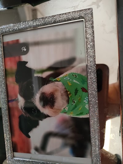 Grooming Van Image