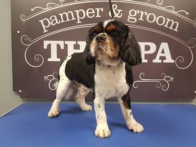 Grooming Van Image