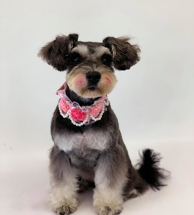 Grooming Van Image