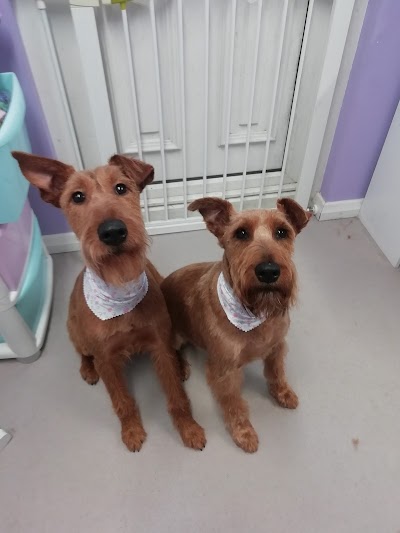 Grooming Van Image