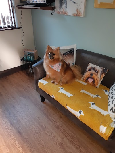 Grooming Van Image