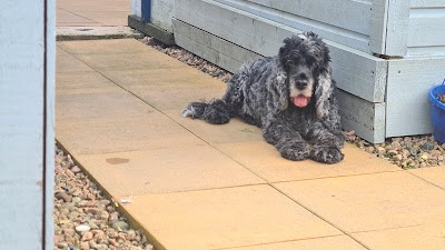 Grooming Van Image