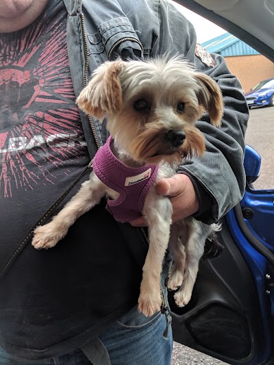 Grooming Van Image
