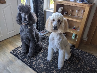 Grooming Van Image