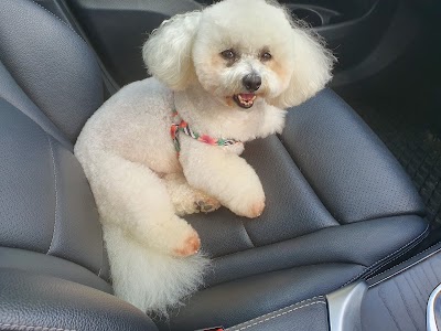 Grooming Van Image