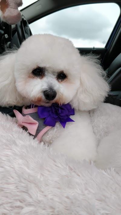 Grooming Van Image