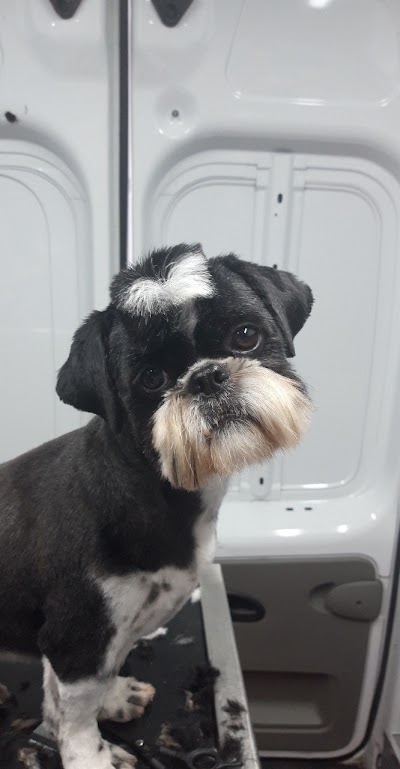 Grooming Van Image