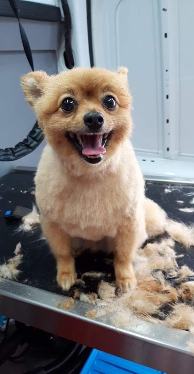 Grooming Van Image
