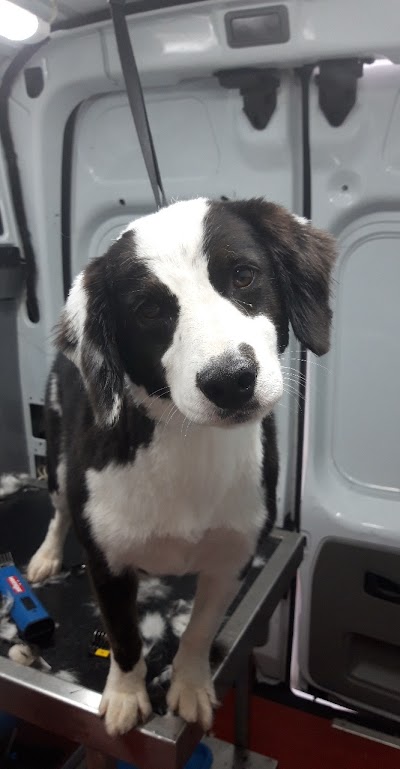 Grooming Van Image