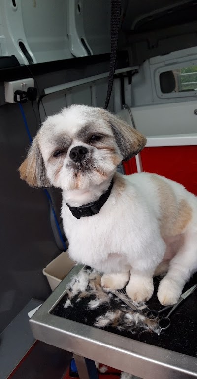 Grooming Van Image