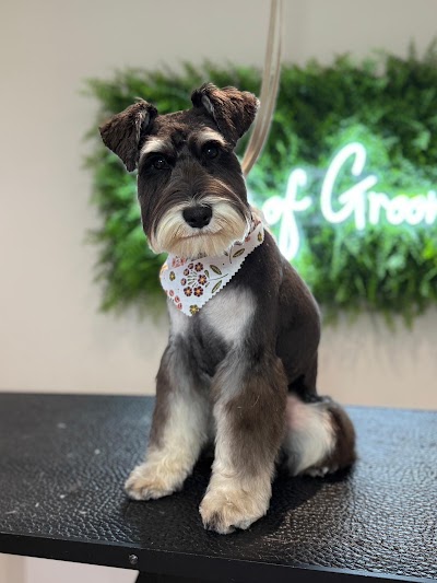 Grooming Van Image