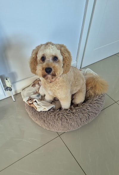 Grooming Van Image