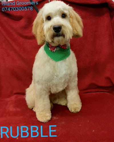 Grooming Van Image