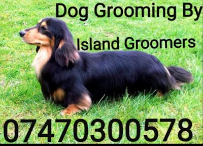 Grooming Van Image