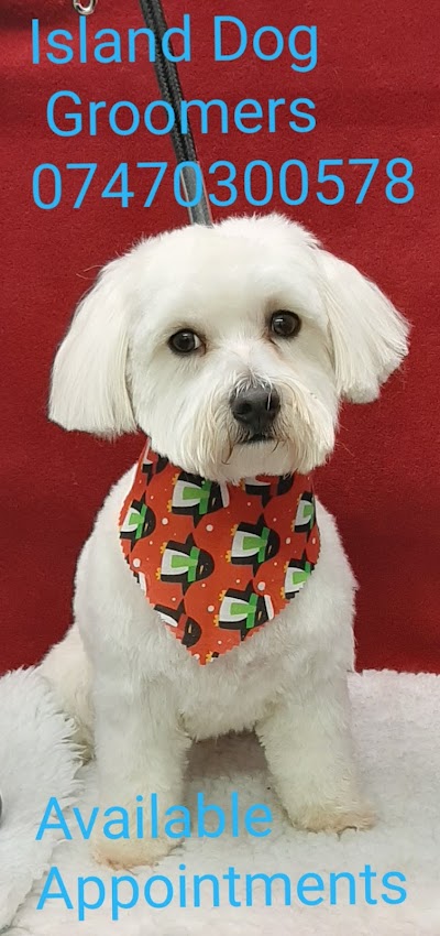 Island Dog Groomers