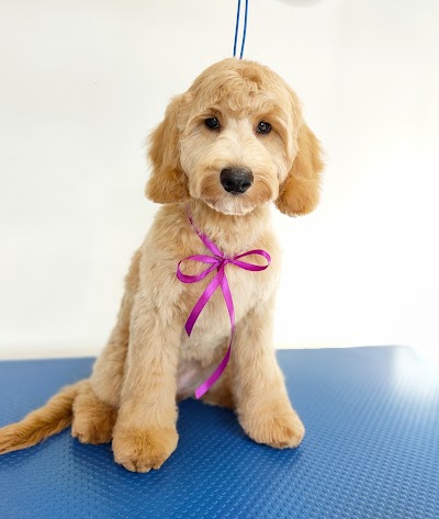 Grooming Van Image