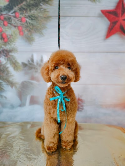 Grooming Van Image
