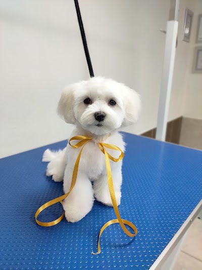 Grooming Van Image
