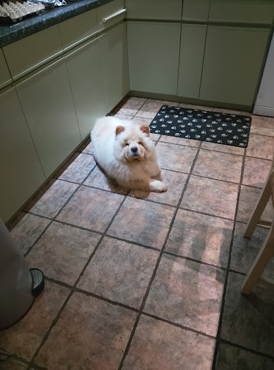 Grooming Van Image