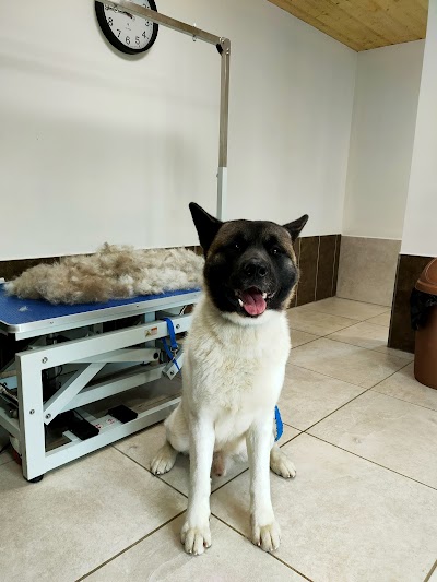 Grooming Van Image